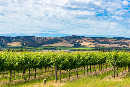 Your 2022 Guide to the McLaren Vale Wine Region SA