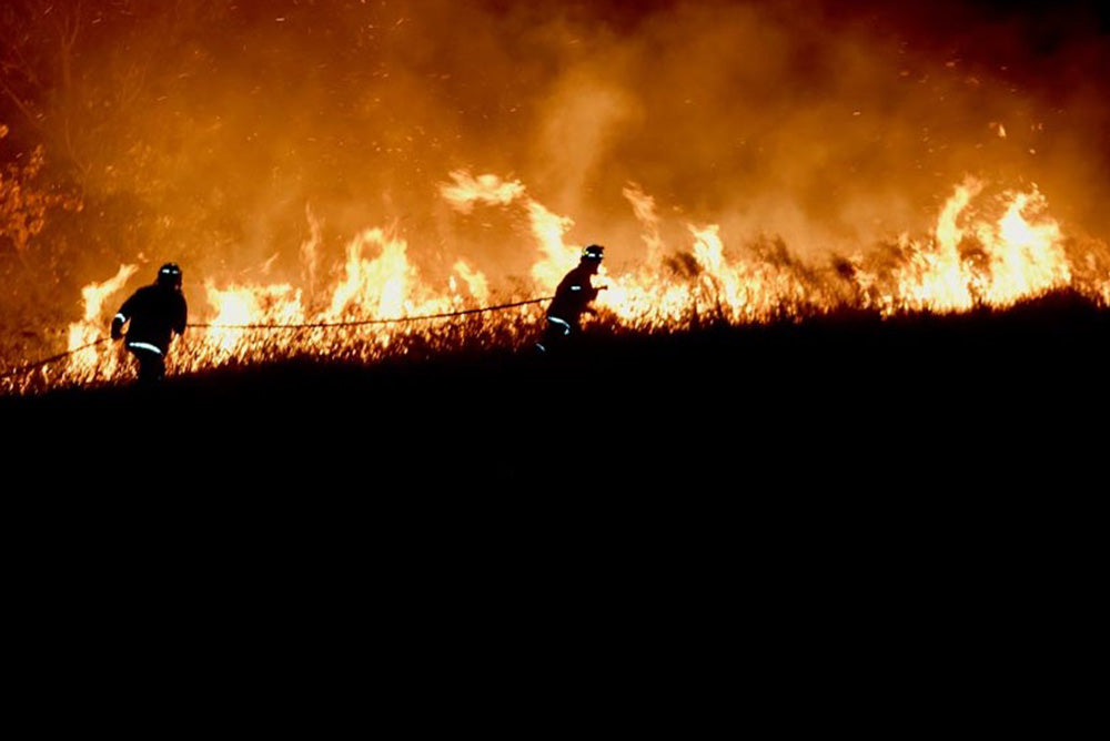 CFA-cropped.jpg