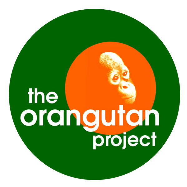 THE ORANGUTAN PROJECT